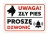 uwaga zły pies
