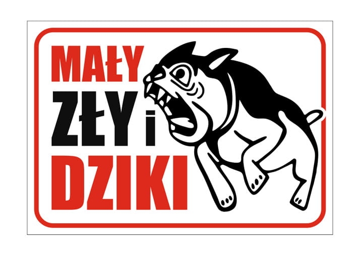 mały zły pies